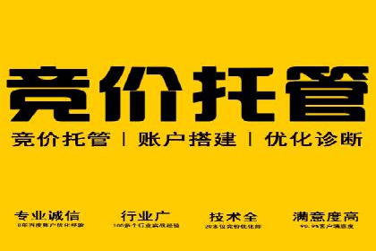 百度推广费用优化策略：成功企业案例分享